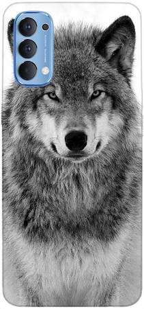 Foto Case Oppo Reno 4 PRO spokojny wilk