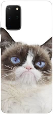 Foto Case Samsung Galaxy S20 Plus grumpy cat