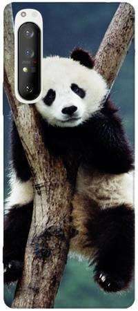 Foto Case Sony Xperia 1 III panda na drzewie