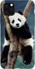 Foto Case Apple iPhone 11 PRO panda na drzewie