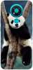 Foto Case Nokia 3.4 panda na drzewie
