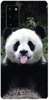Foto Case Samsung Galaxy Note 20 śmieszna panda